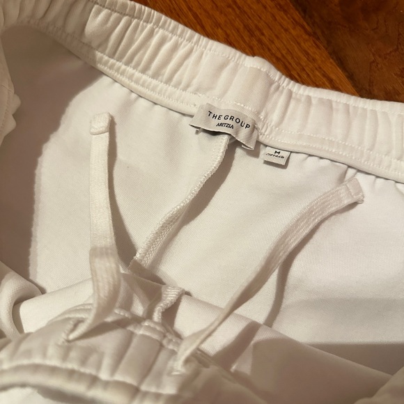 Aritzia Shorts - Picture 3 of 4